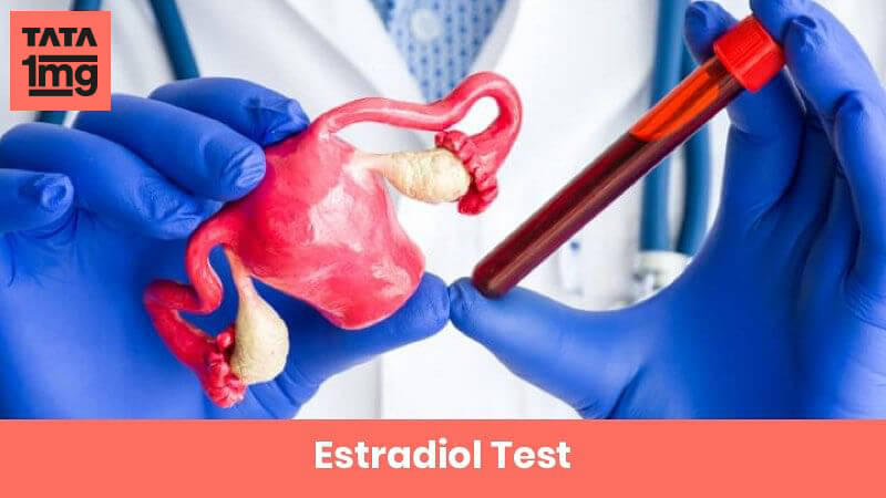 Estradiol Test
